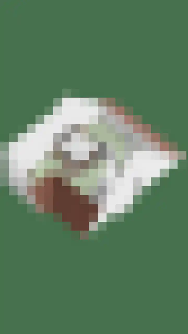 Dreef 40 Heusden thumbnail 51