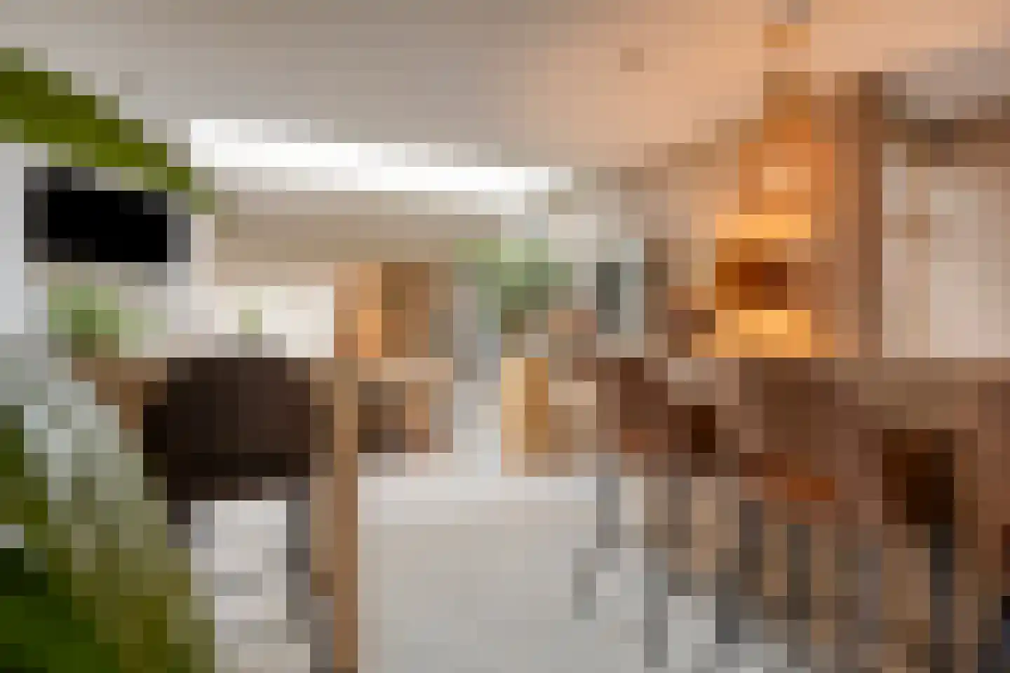 Dreef 43 Veldhoven thumbnail 18