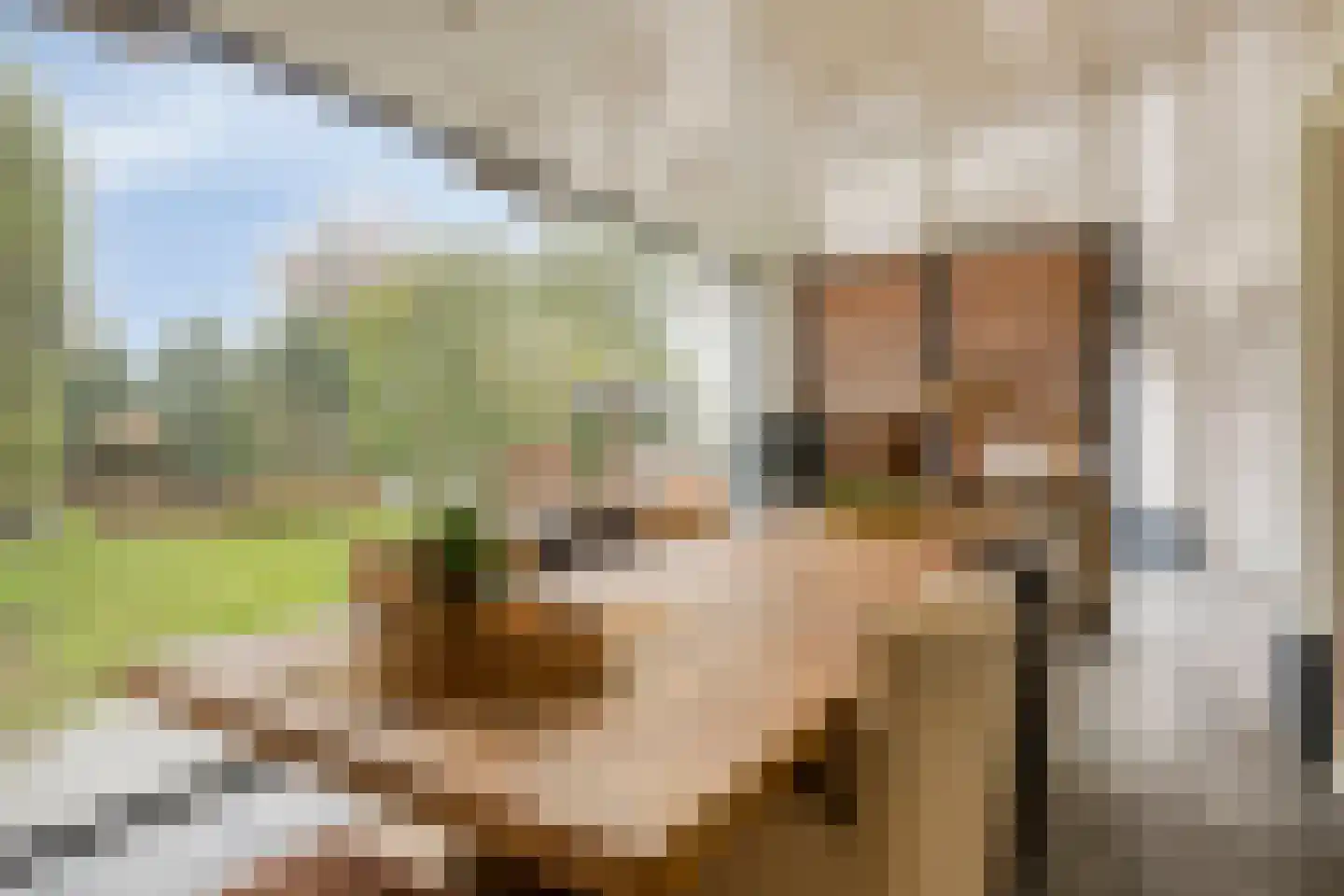 Dreef 43 Veldhoven thumbnail 25