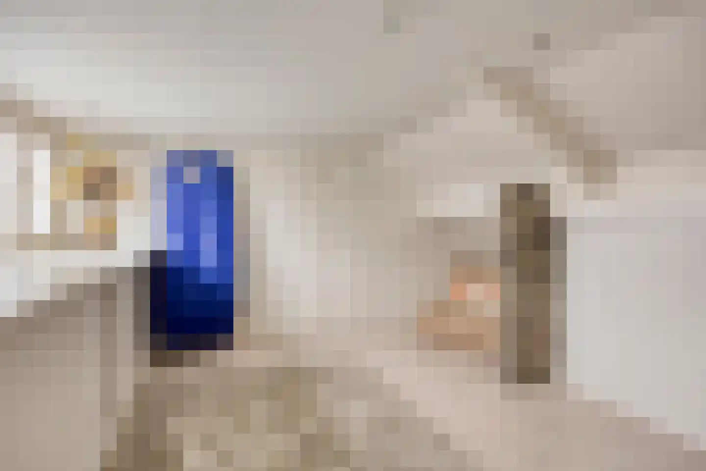 Dreef 43 Veldhoven thumbnail 39