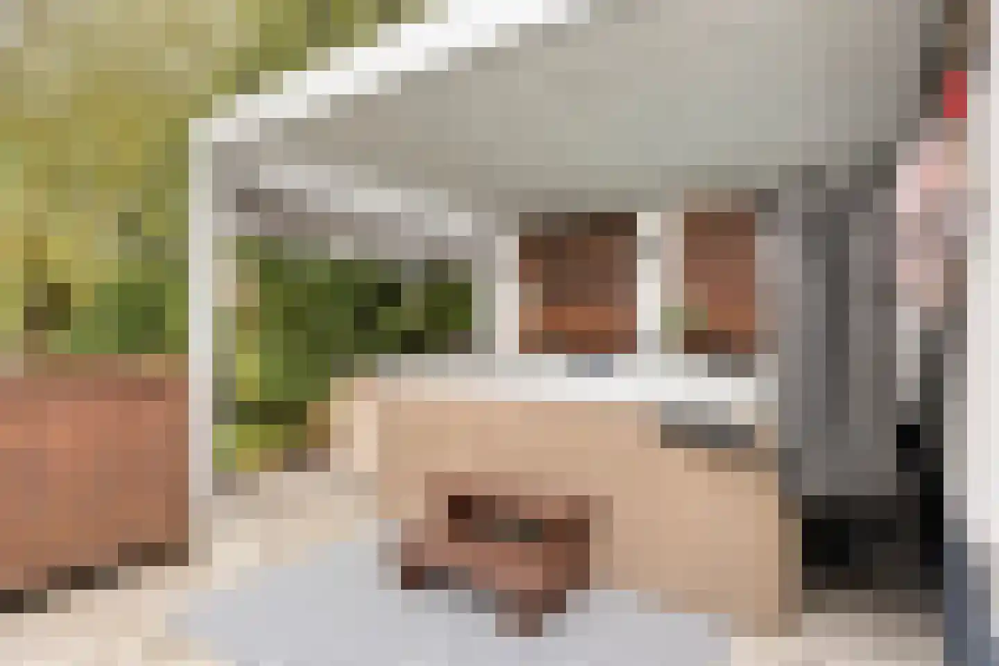Dreef 43 Veldhoven thumbnail 42