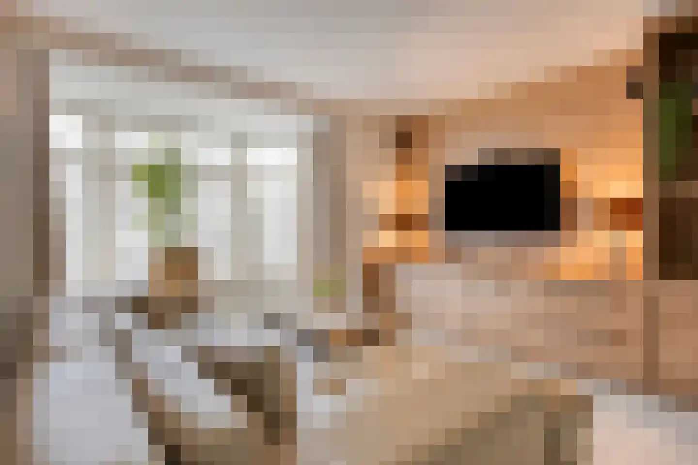 Dreef 43 Veldhoven thumbnail 8