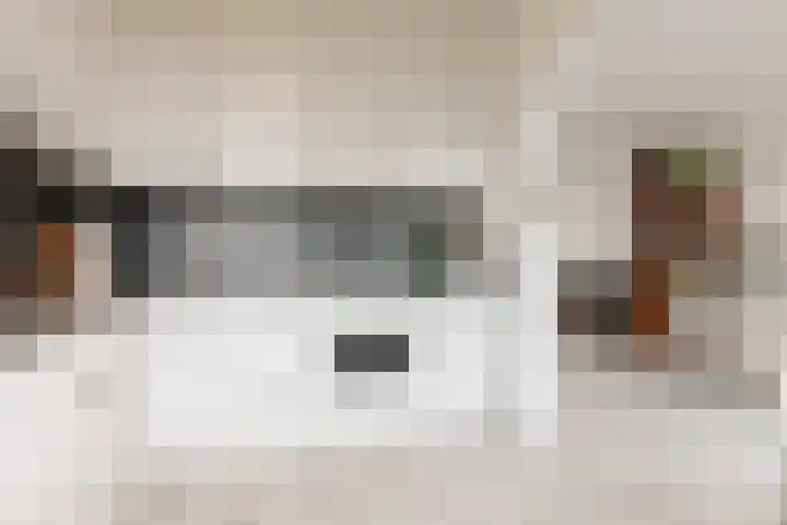 Dreef 48 Aalsmeer thumbnail 11