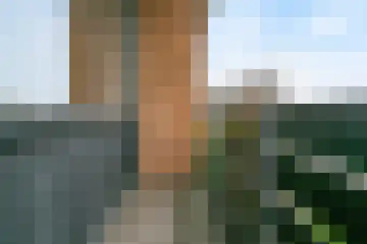 Dreef 48 Aalsmeer thumbnail 20