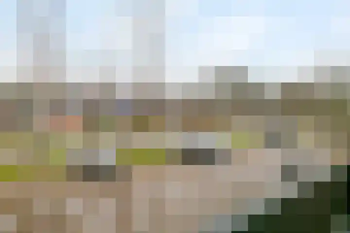 Dreef 48 Aalsmeer thumbnail 31