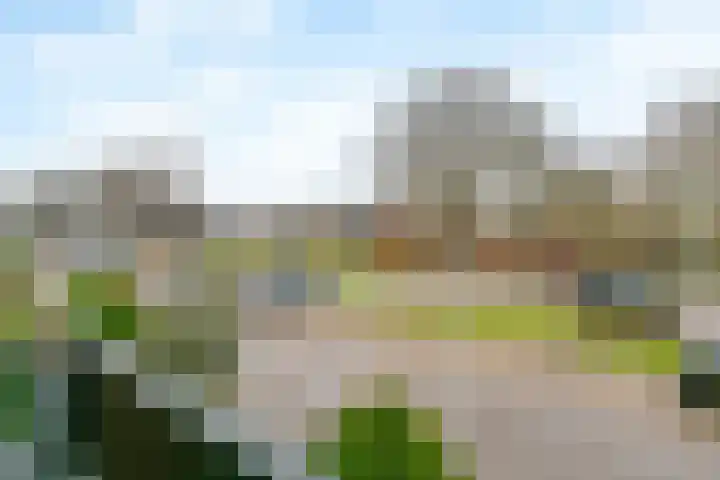 Dreef 48 Aalsmeer thumbnail 32