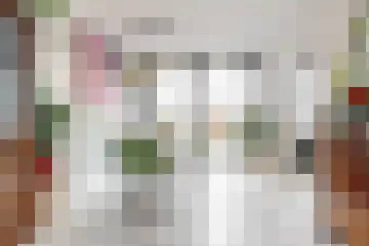 Dreef 48 Aalsmeer thumbnail 8