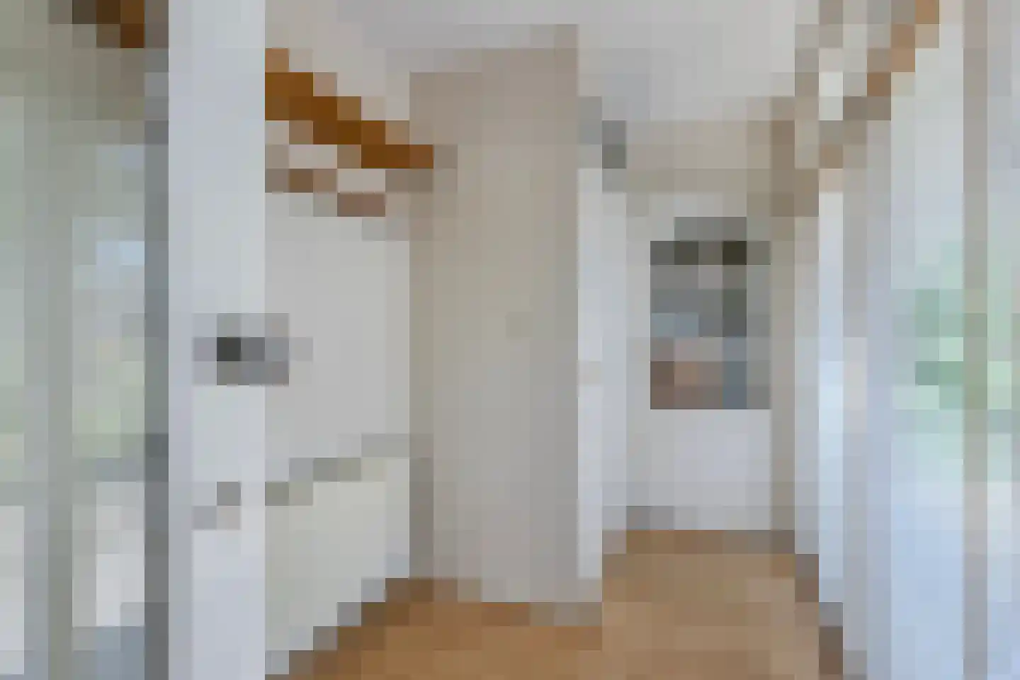 Dreef 48 Biddinghuizen thumbnail 12