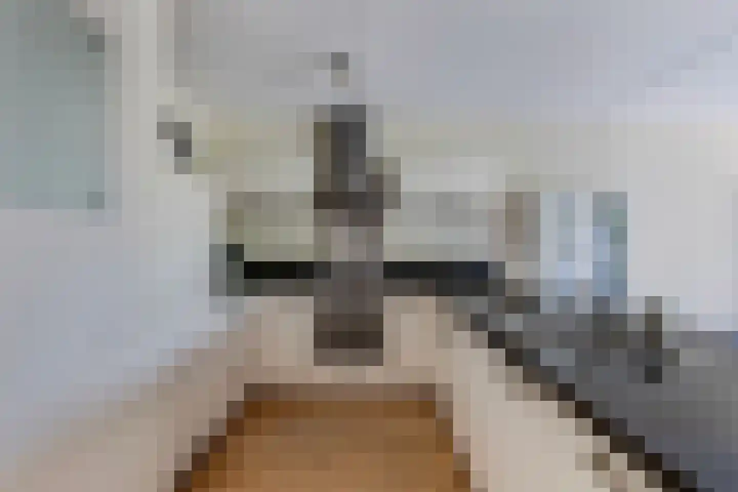 Dreef 48 Biddinghuizen thumbnail 17