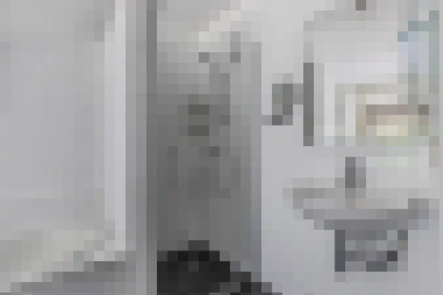 Dreef 48 Biddinghuizen thumbnail 41