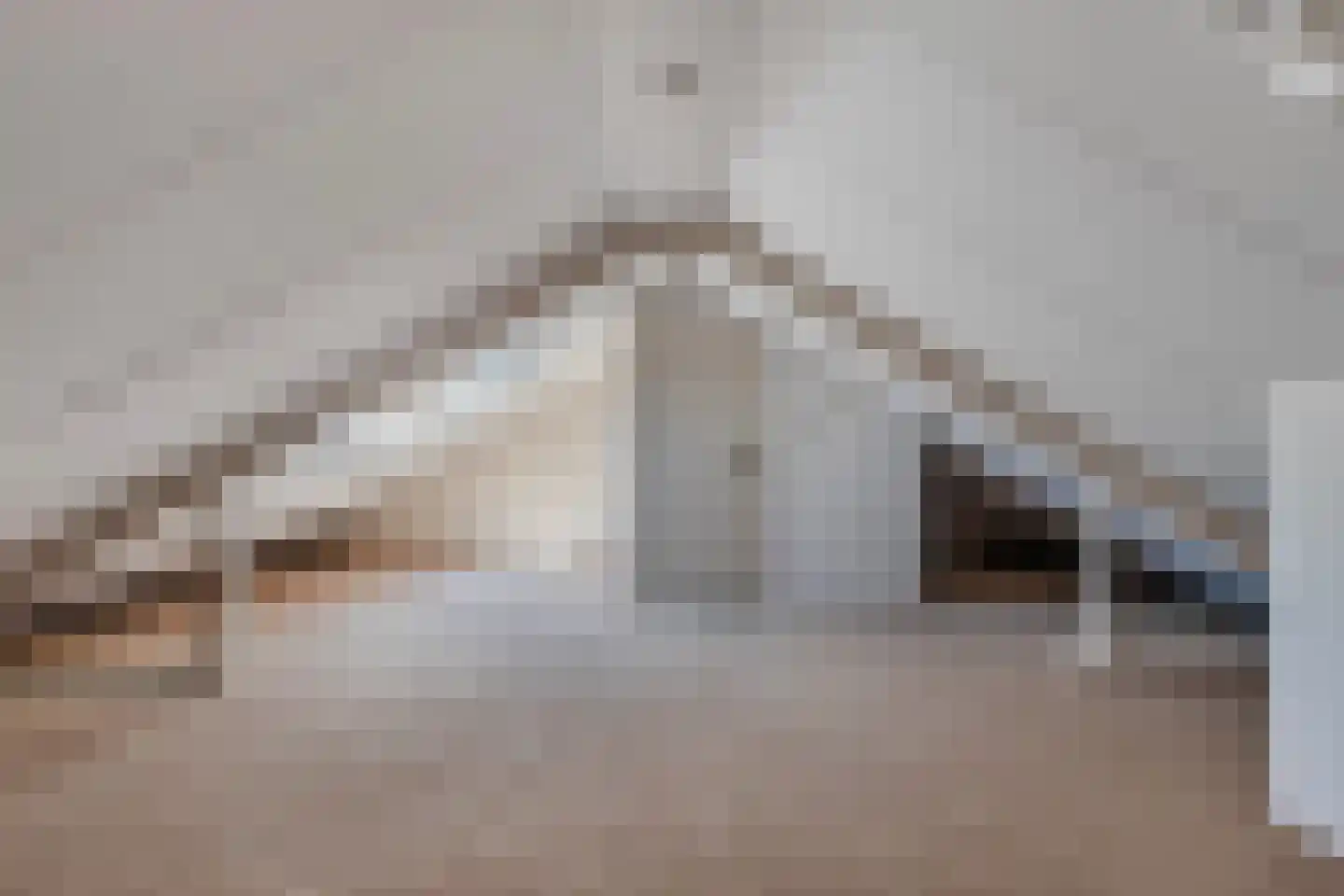 Dreef 48 Biddinghuizen thumbnail 46