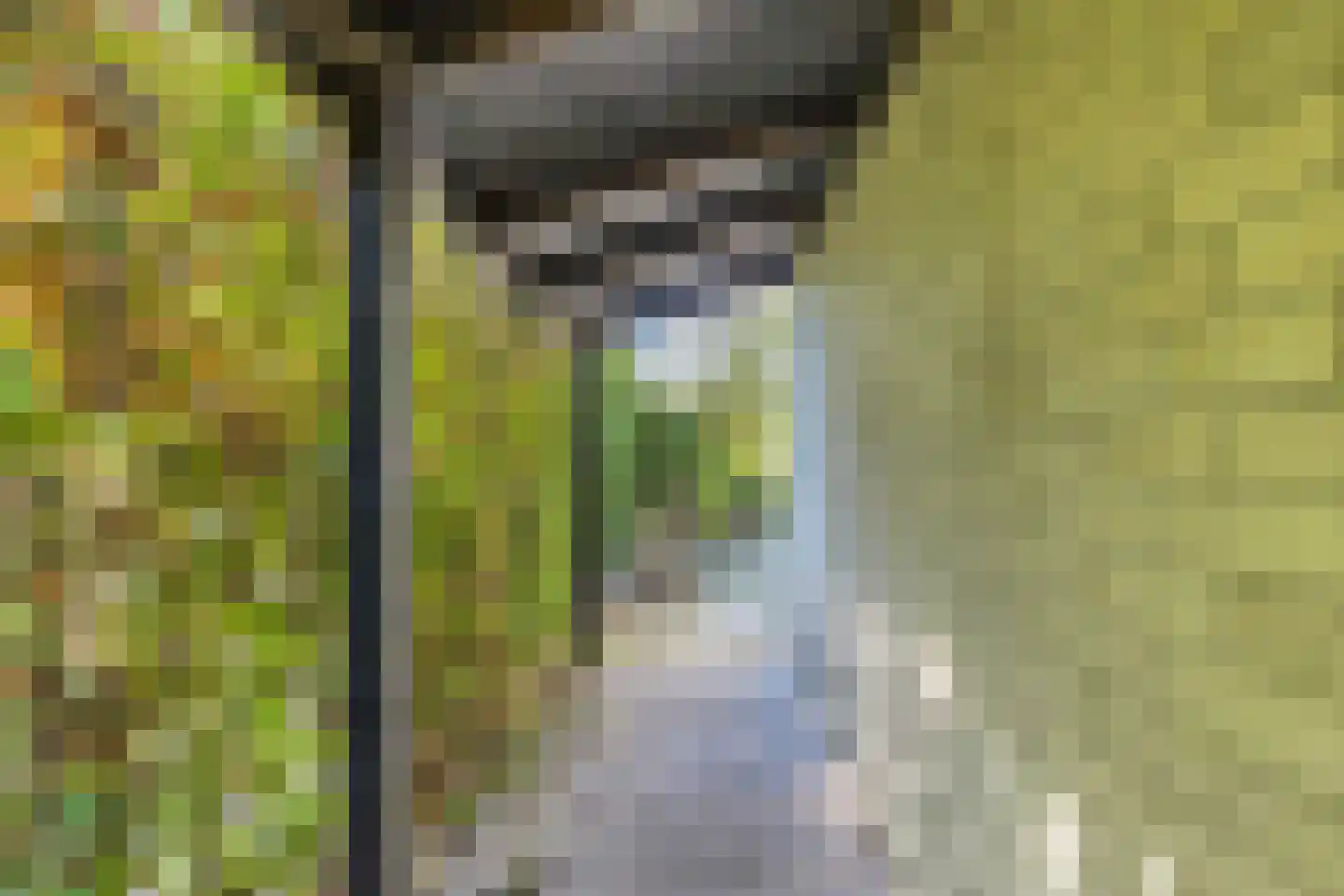 Dreef 48 Biddinghuizen thumbnail 47