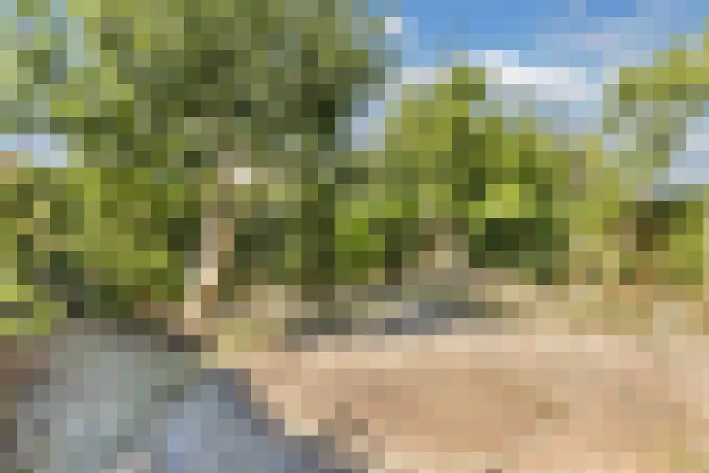 Dreef 48 Biddinghuizen thumbnail 50