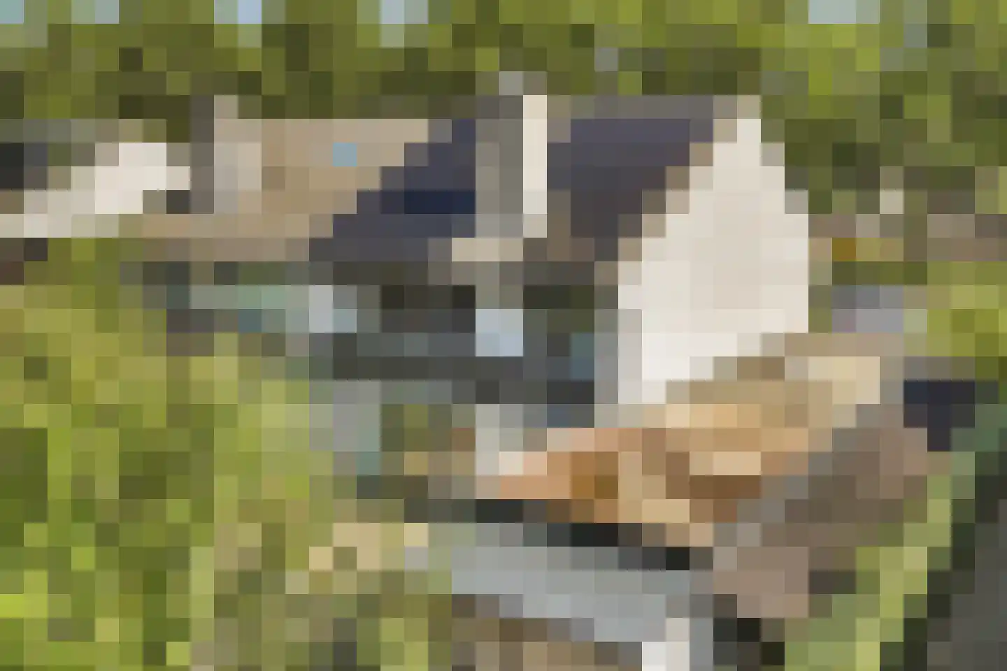 Dreef 48 Biddinghuizen thumbnail 57