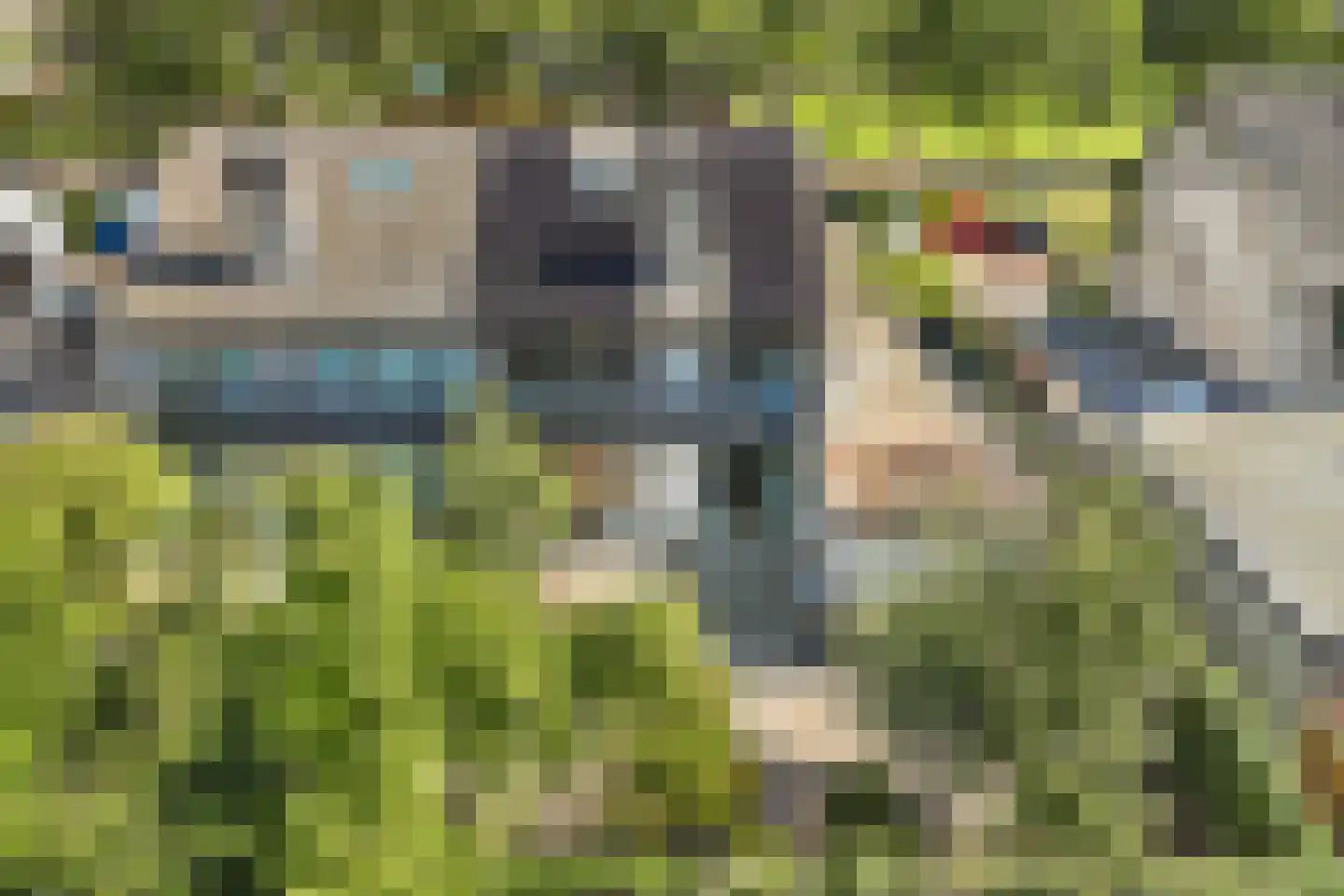 Dreef 48 Biddinghuizen thumbnail 58