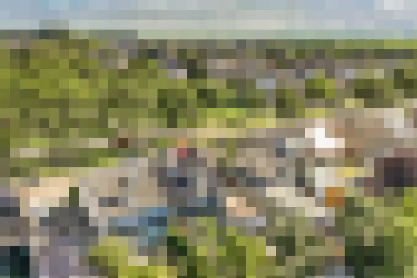 Dreef 48 Biddinghuizen thumbnail 59