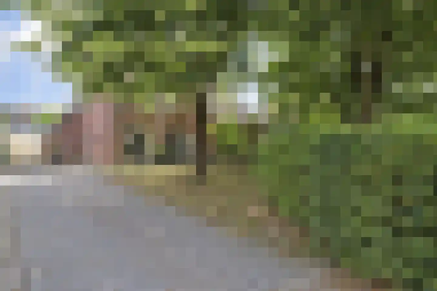 Dreef 48 Drempt