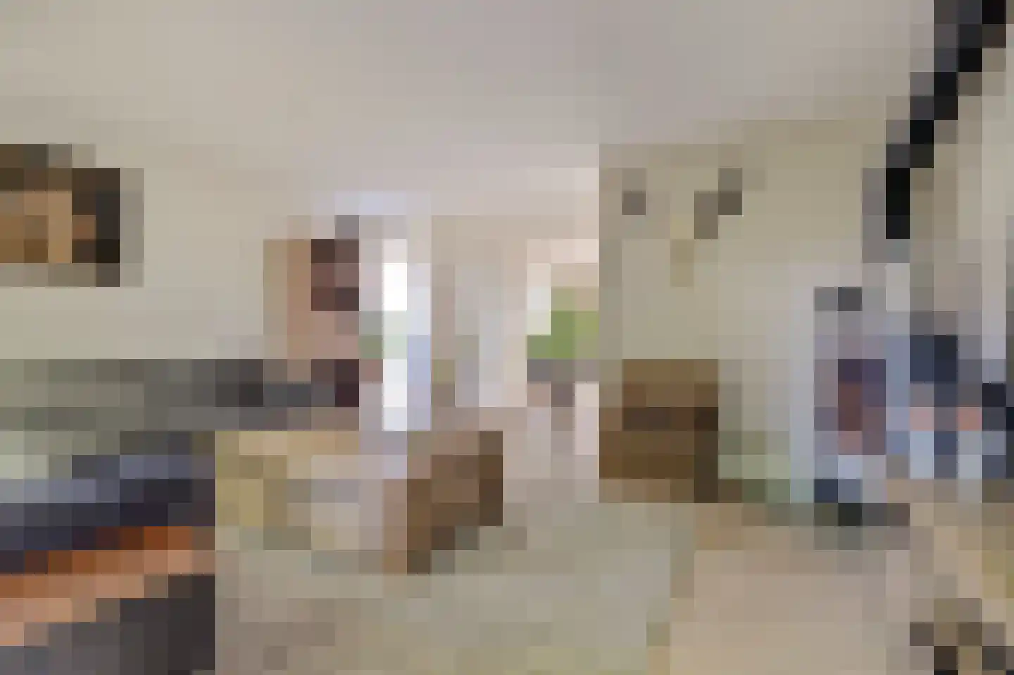 Dreef 48 Drempt thumbnail 10