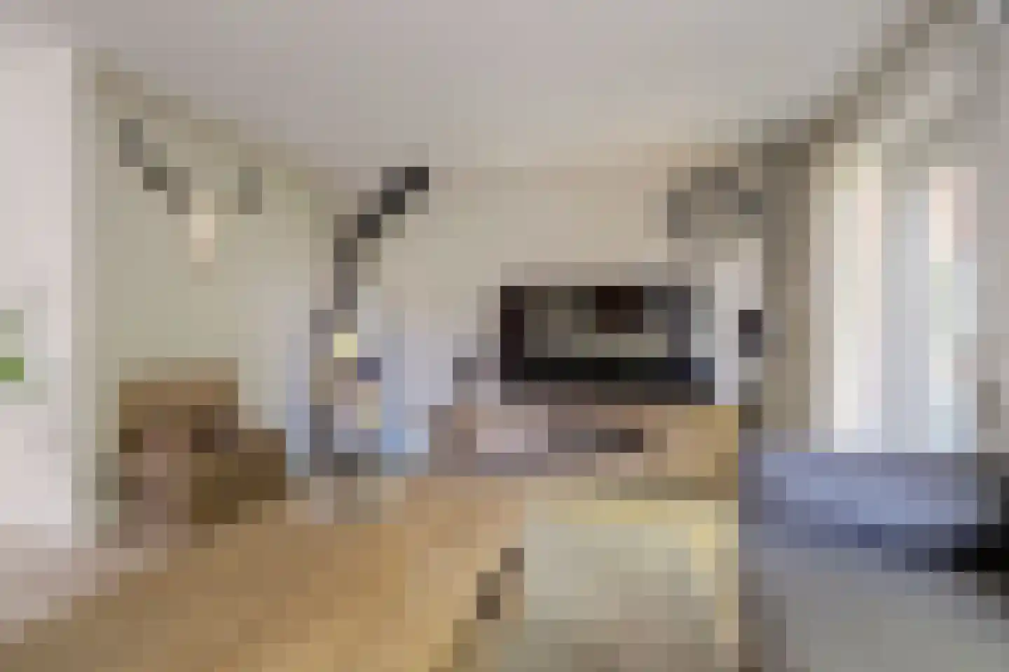Dreef 48 Drempt thumbnail 11