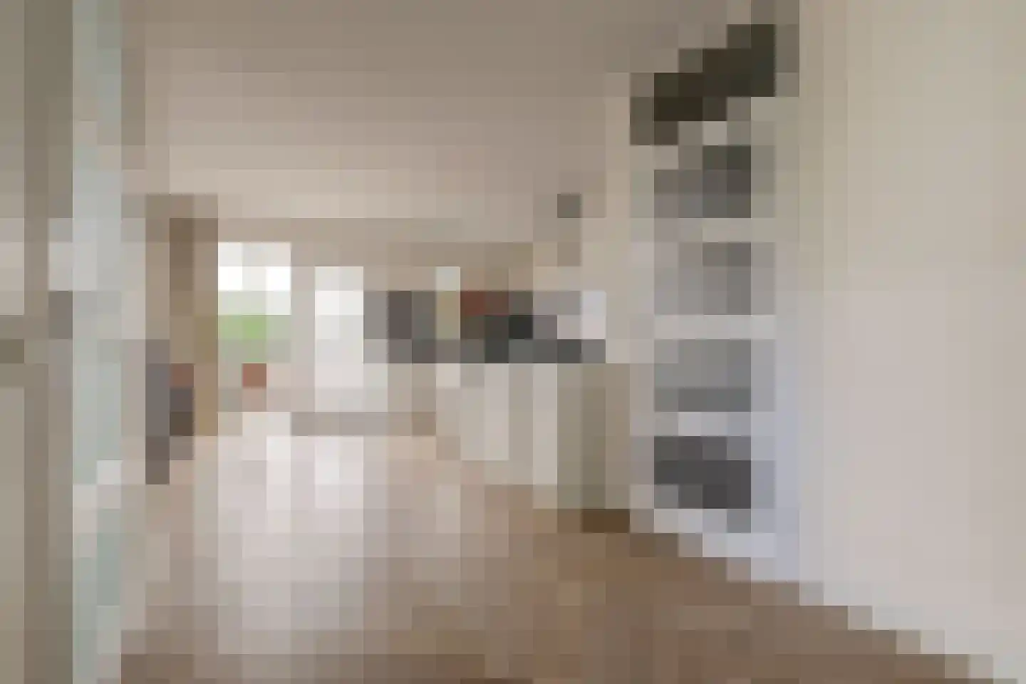 Dreef 48 Drempt thumbnail 13