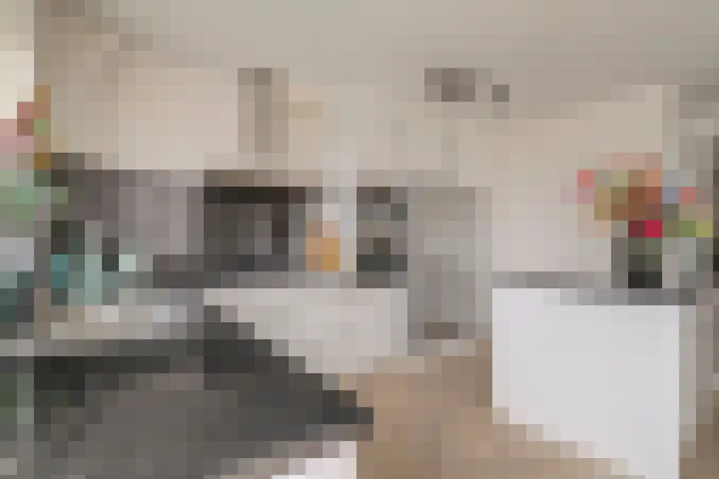 Dreef 48 Drempt thumbnail 15