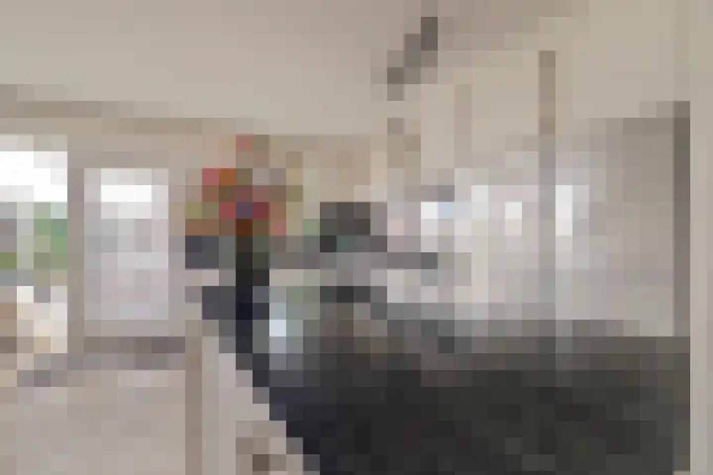 Dreef 48 Drempt thumbnail 18
