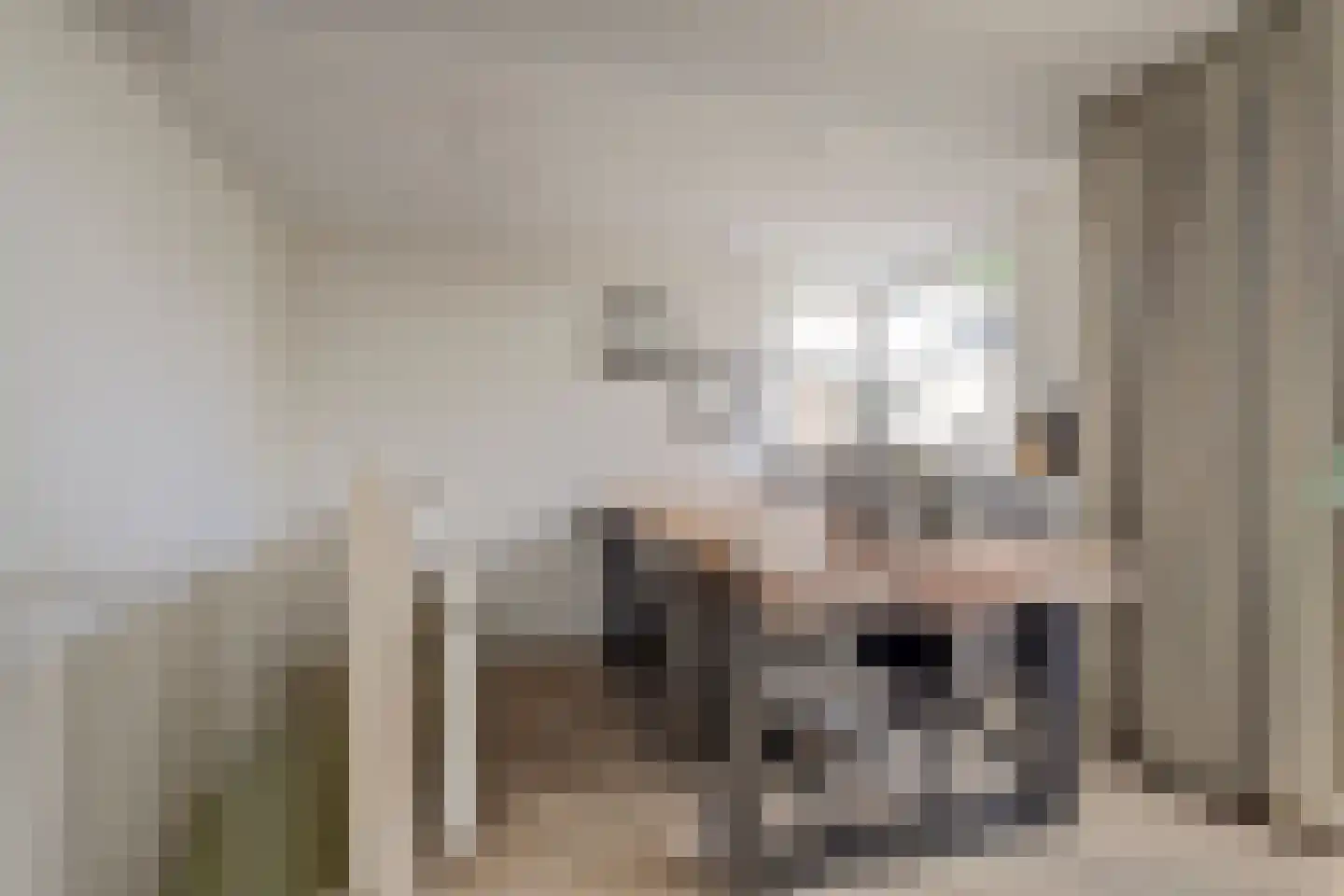 Dreef 48 Drempt thumbnail 19