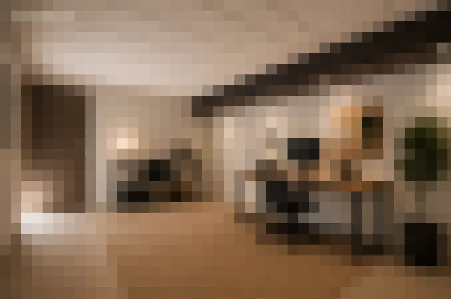 Dreef 48 Drempt thumbnail 25