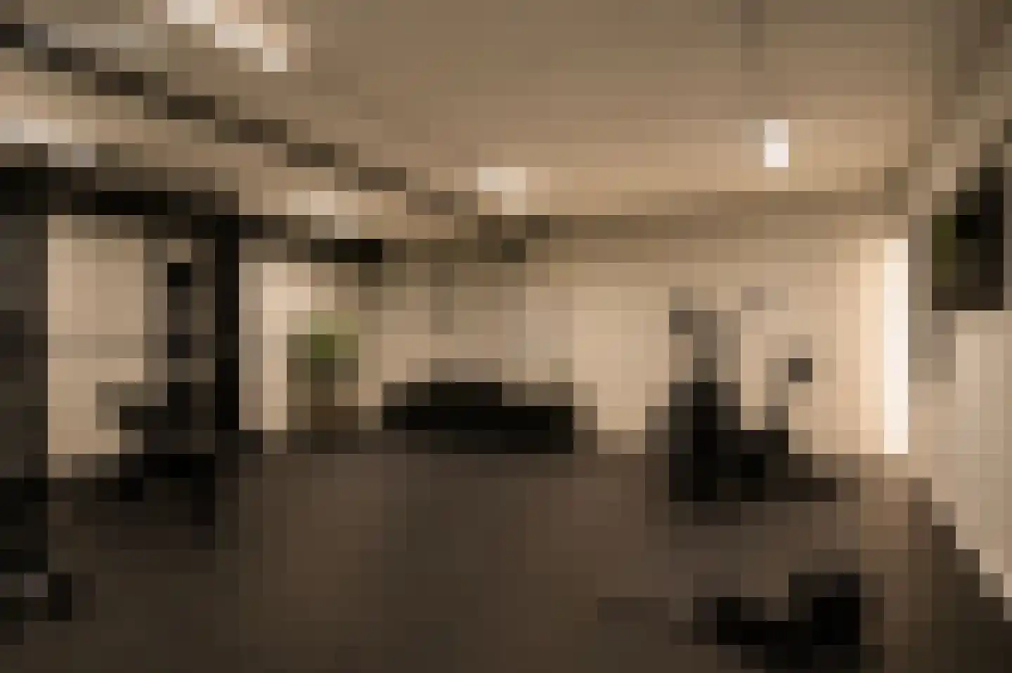 Dreef 48 Drempt thumbnail 27
