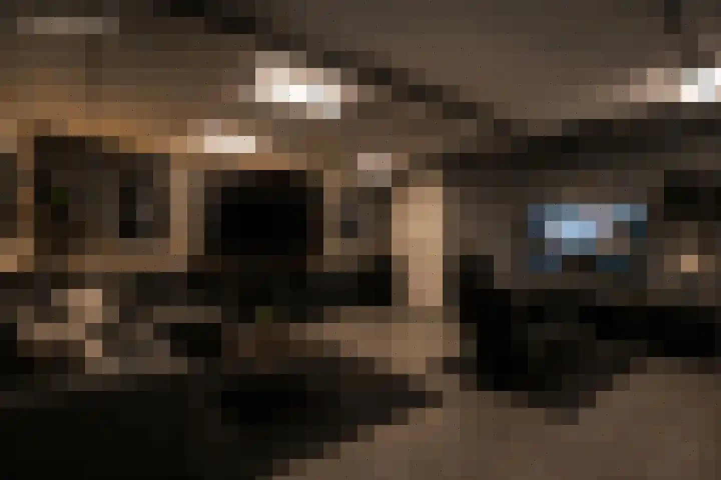 Dreef 48 Drempt thumbnail 29