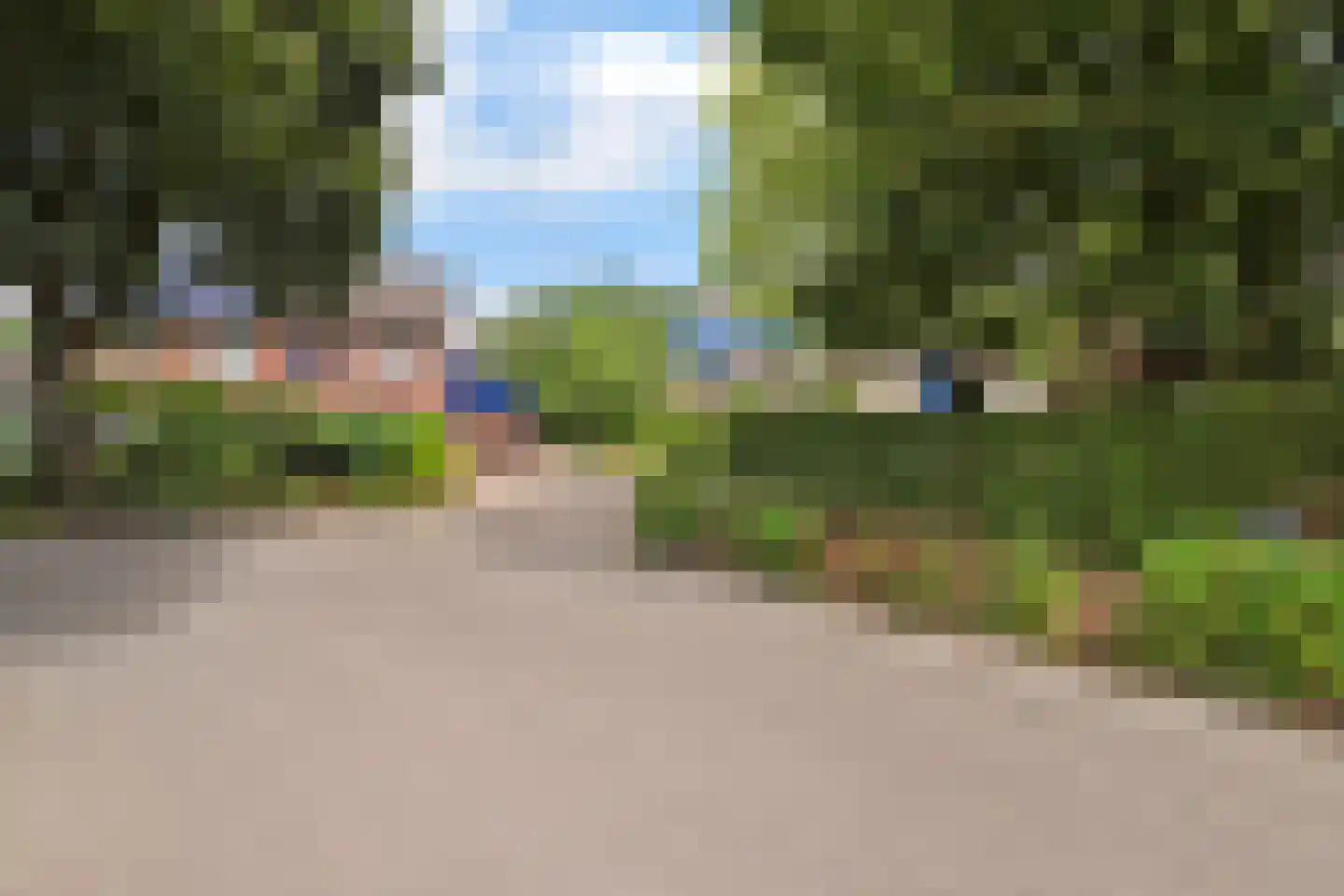 Dreef 48 Drempt foto 3