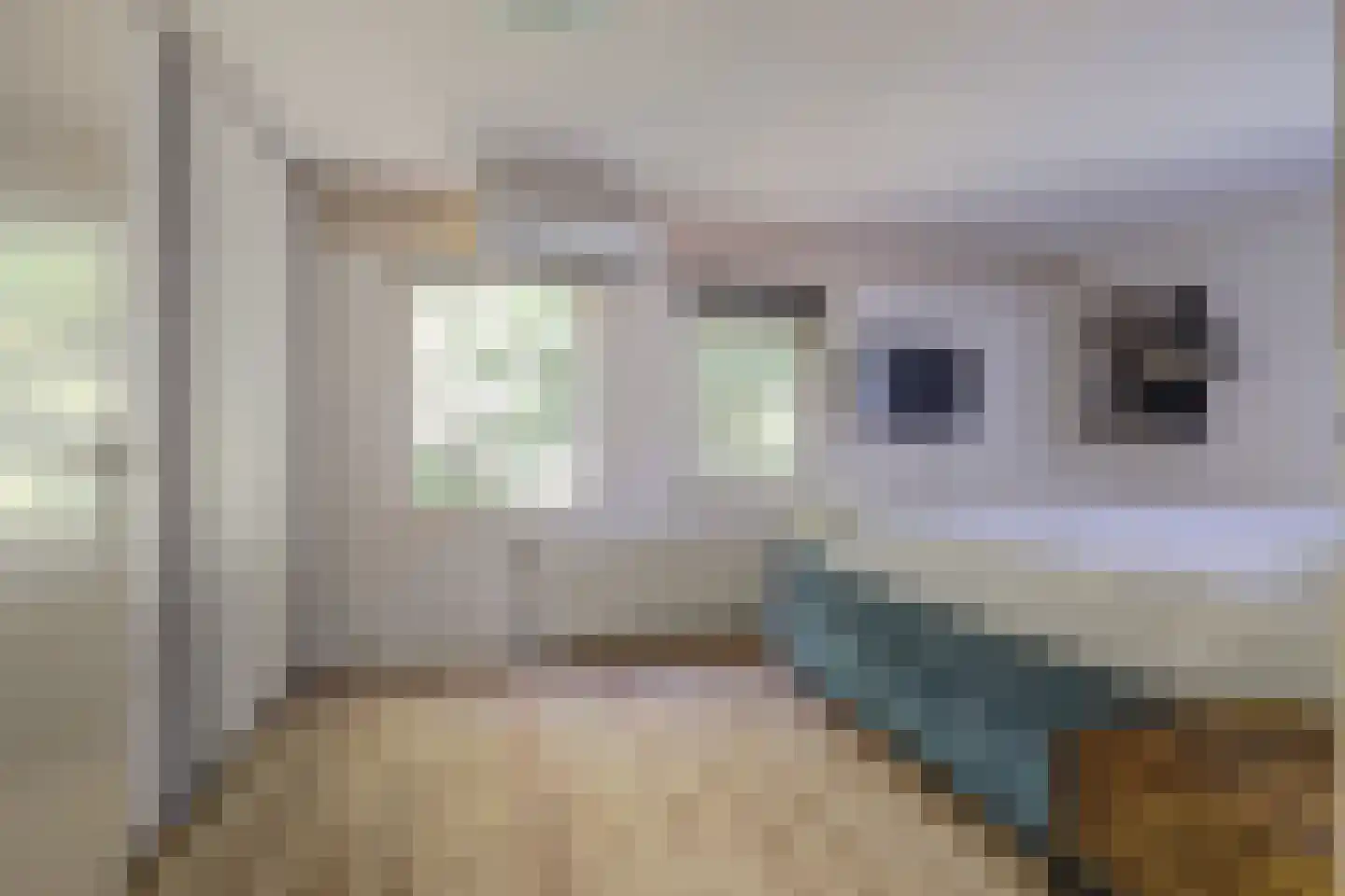 Dreef 48 Drempt thumbnail 30