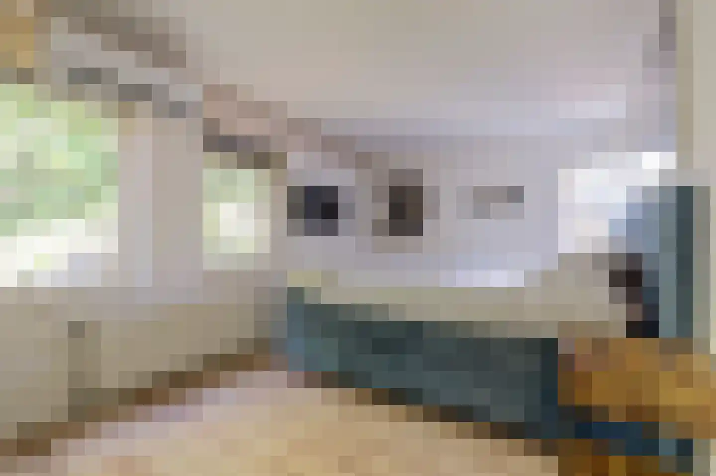Dreef 48 Drempt thumbnail 31