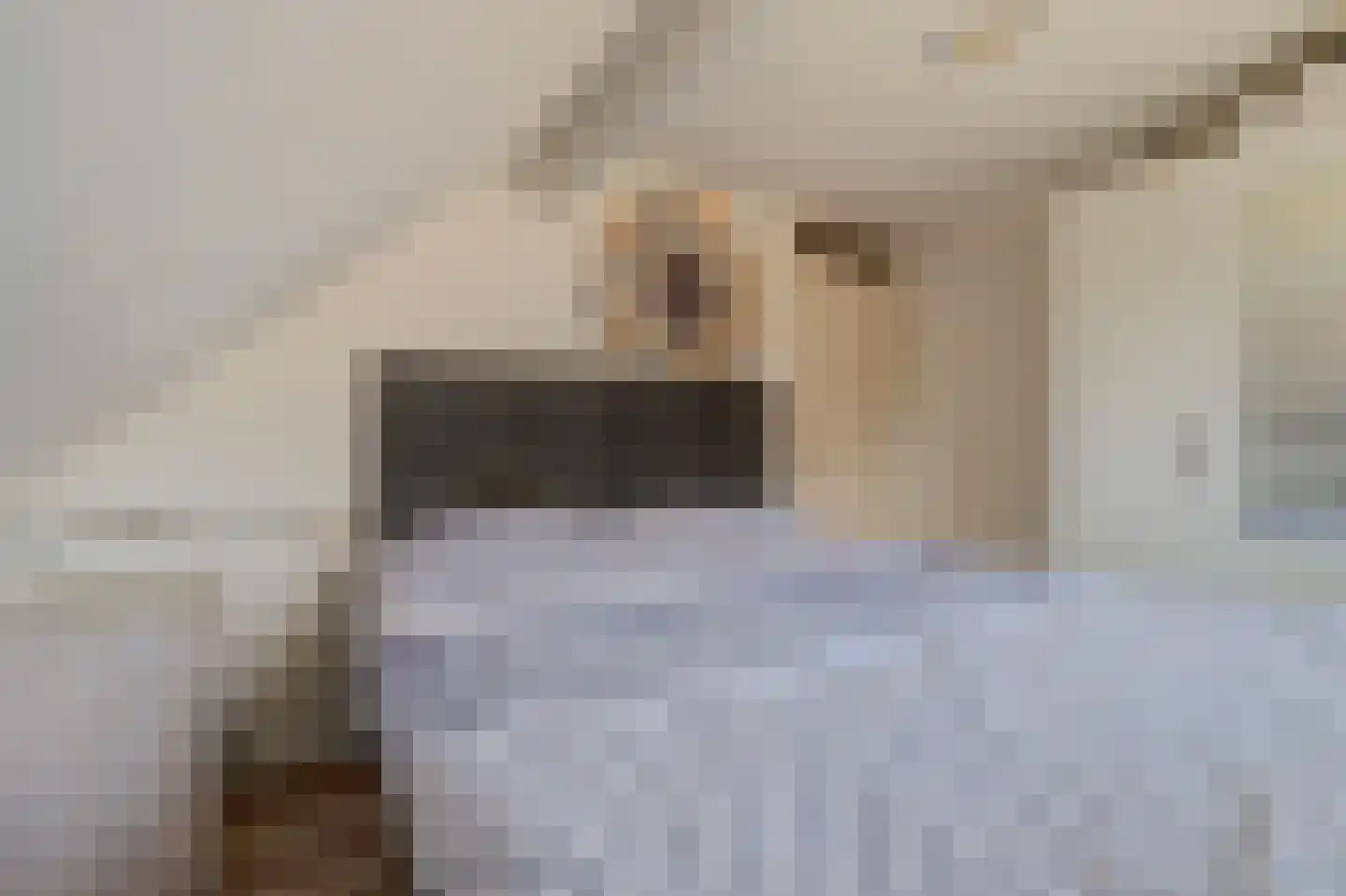 Dreef 48 Drempt thumbnail 34