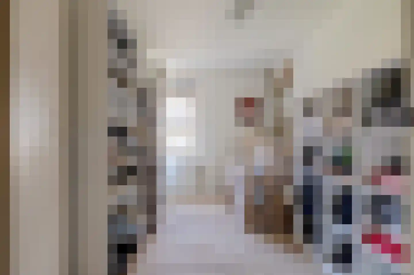 Dreef 48 Drempt thumbnail 36