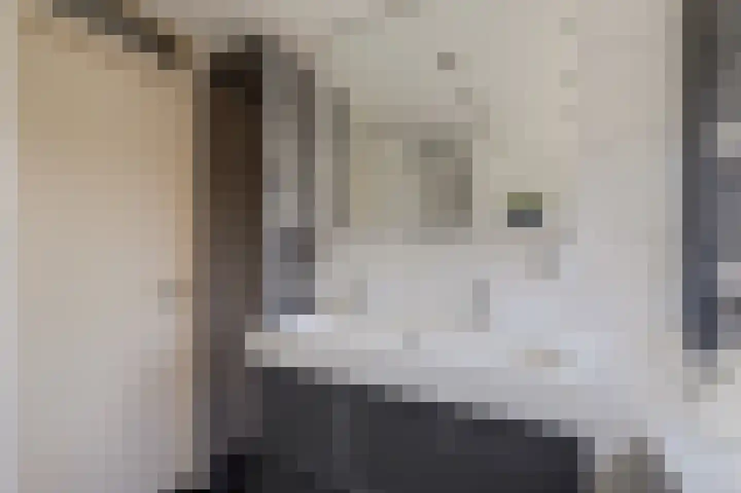 Dreef 48 Drempt thumbnail 41