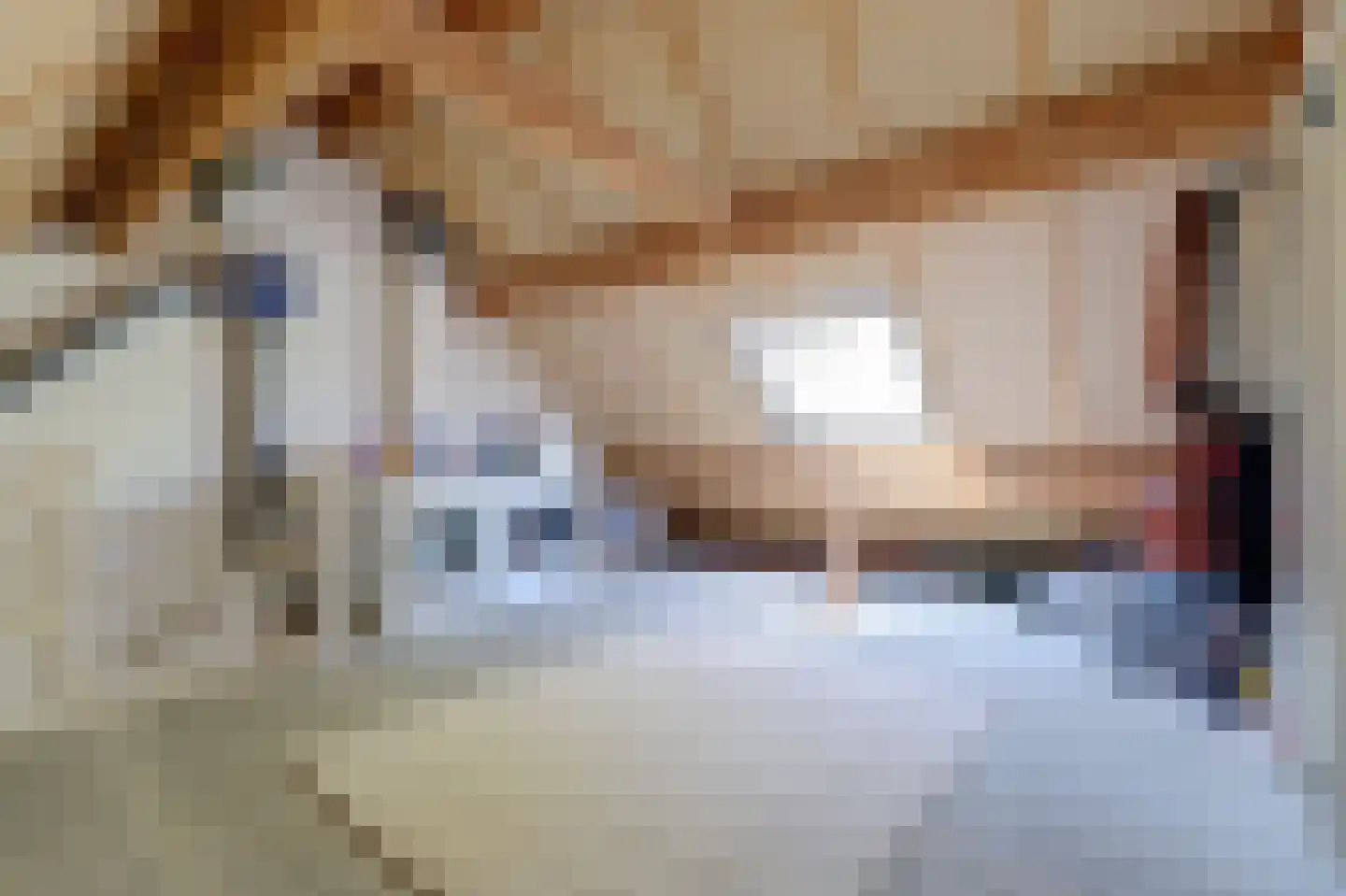 Dreef 48 Drempt thumbnail 44