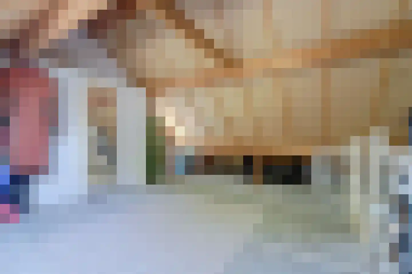 Dreef 48 Drempt thumbnail 45