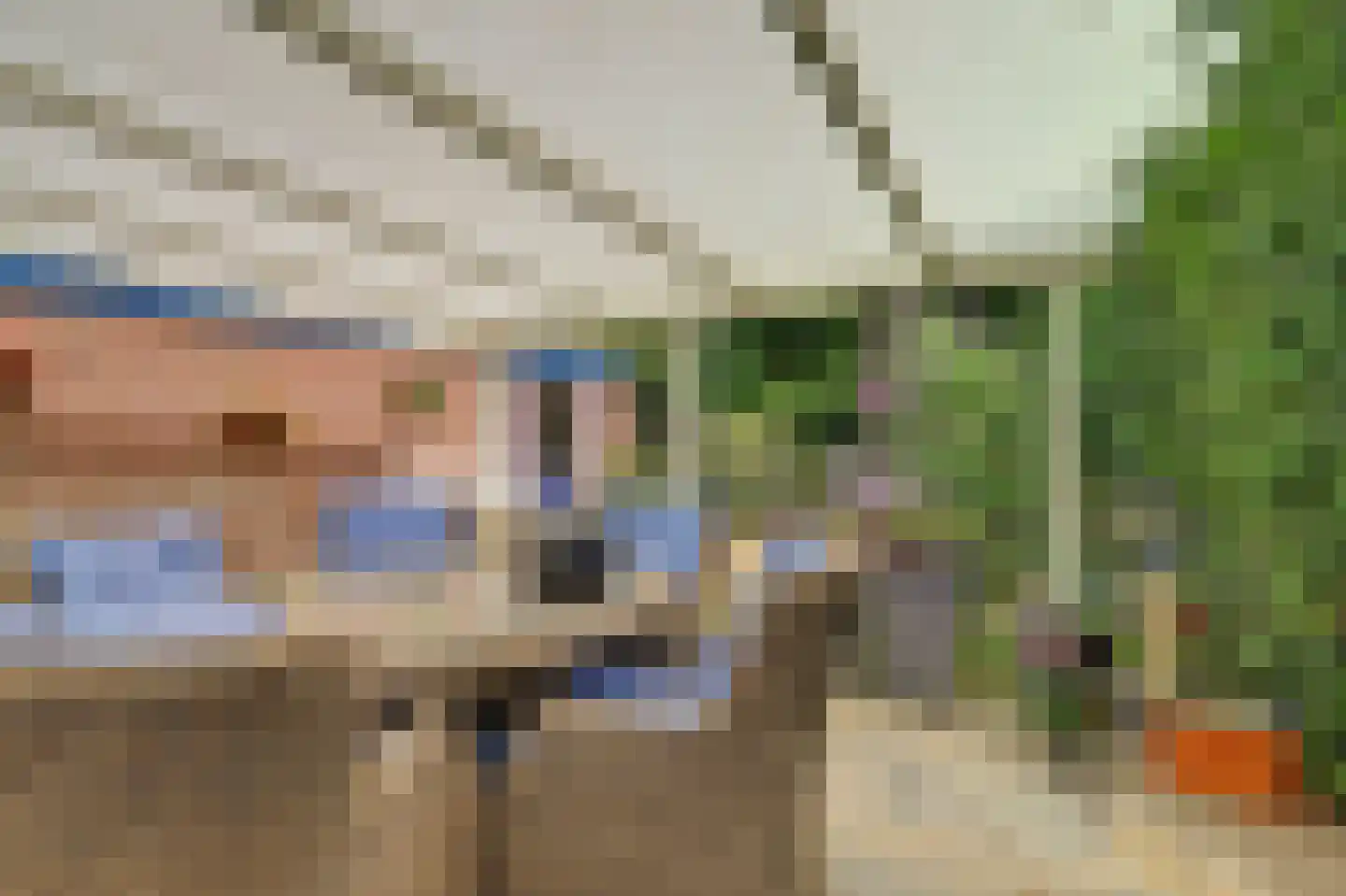 Dreef 48 Drempt thumbnail 47