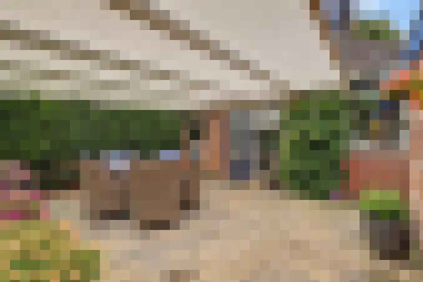 Dreef 48 Drempt thumbnail 48