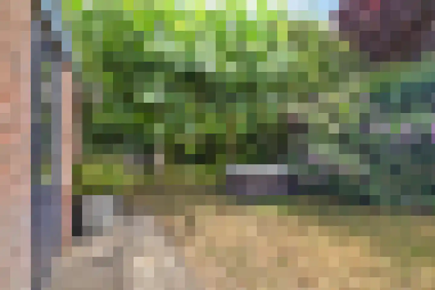 Dreef 48 Drempt thumbnail 49