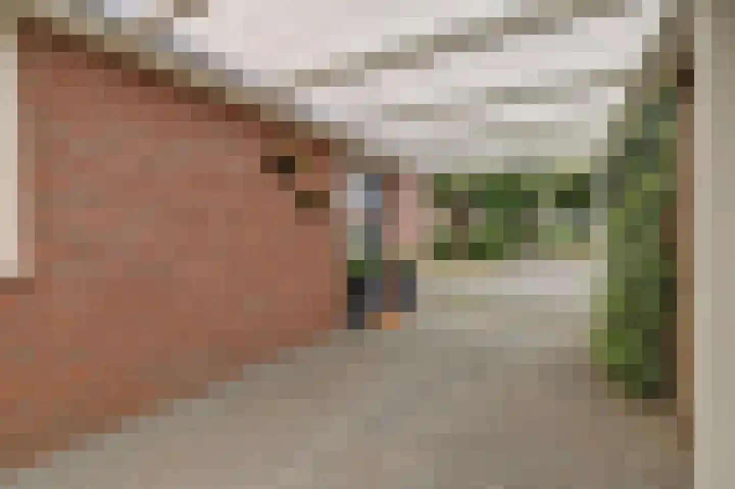 Dreef 48 Drempt thumbnail 5