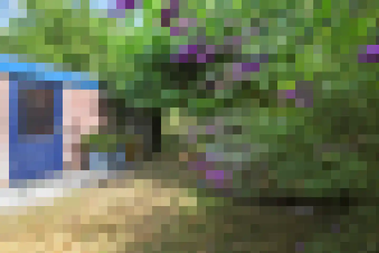 Dreef 48 Drempt thumbnail 50