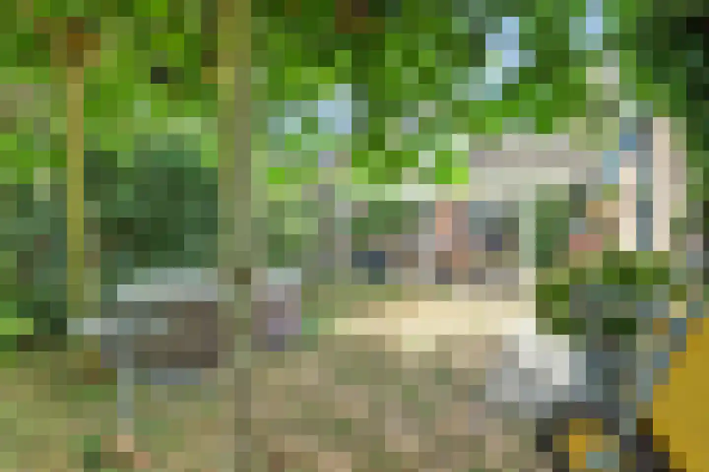 Dreef 48 Drempt thumbnail 51