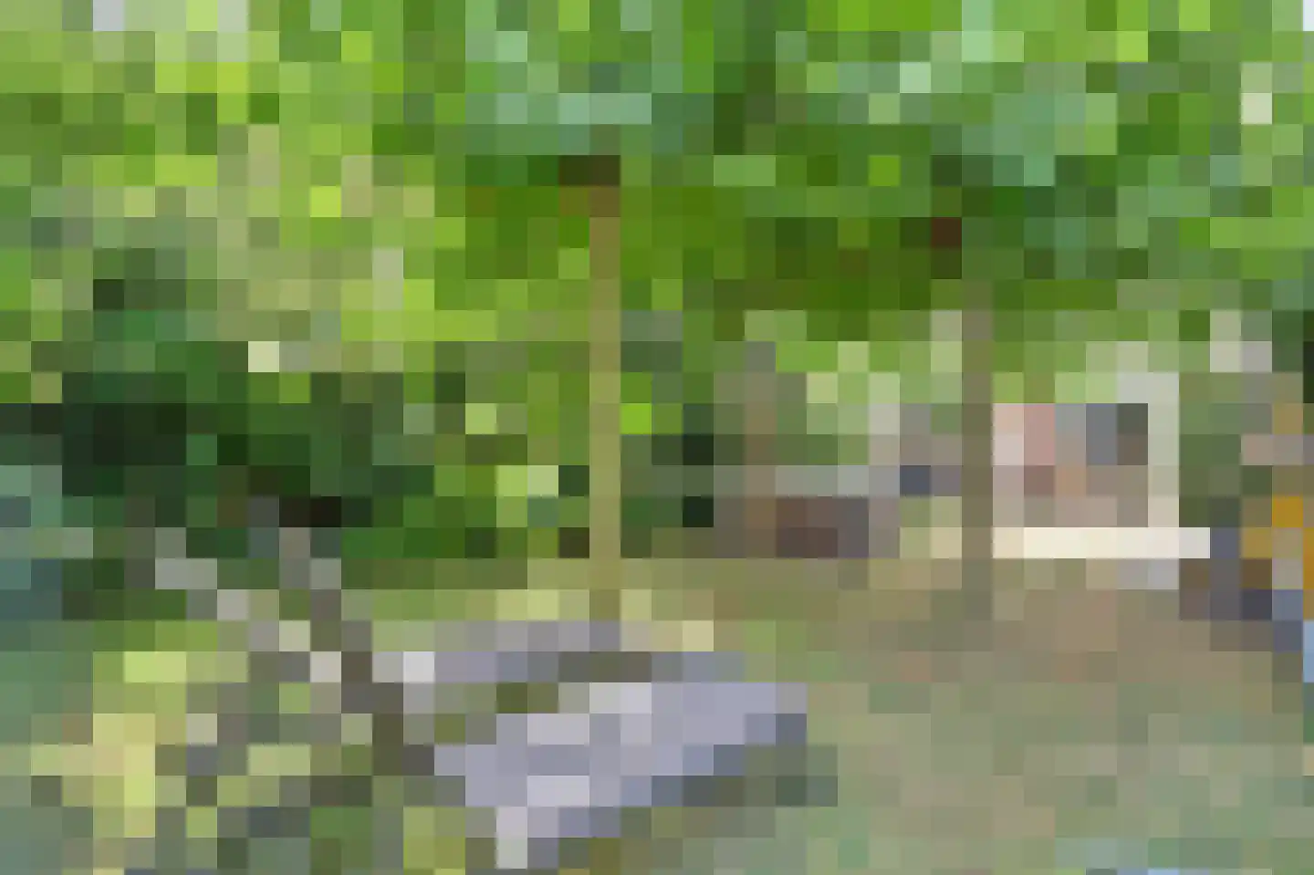 Dreef 48 Drempt thumbnail 52
