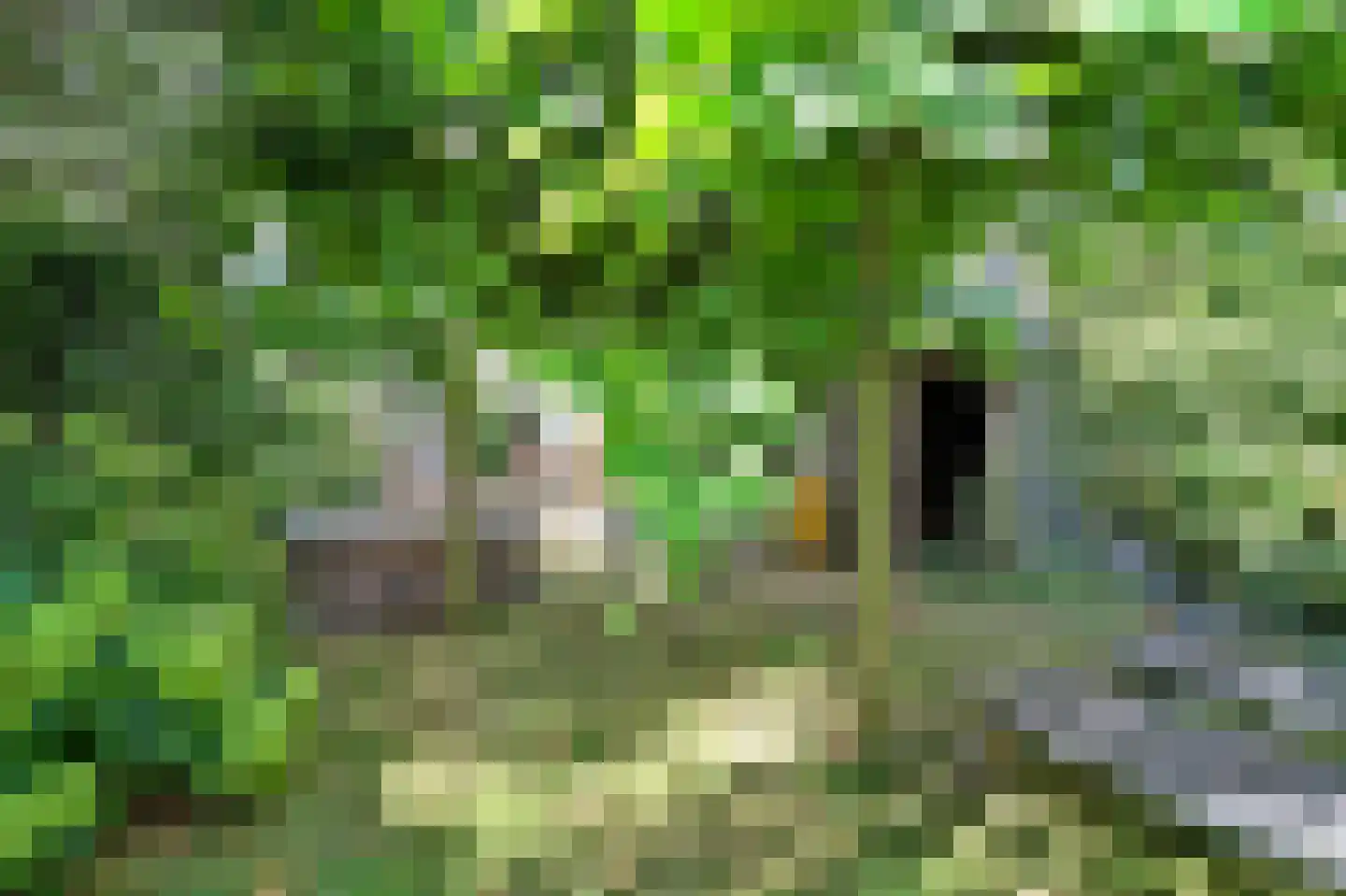 Dreef 48 Drempt thumbnail 53