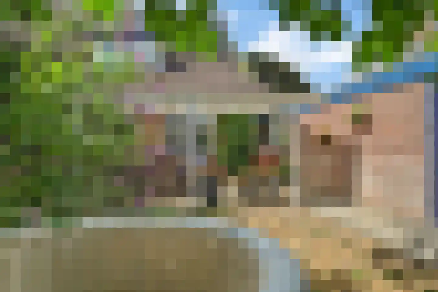 Dreef 48 Drempt thumbnail 54