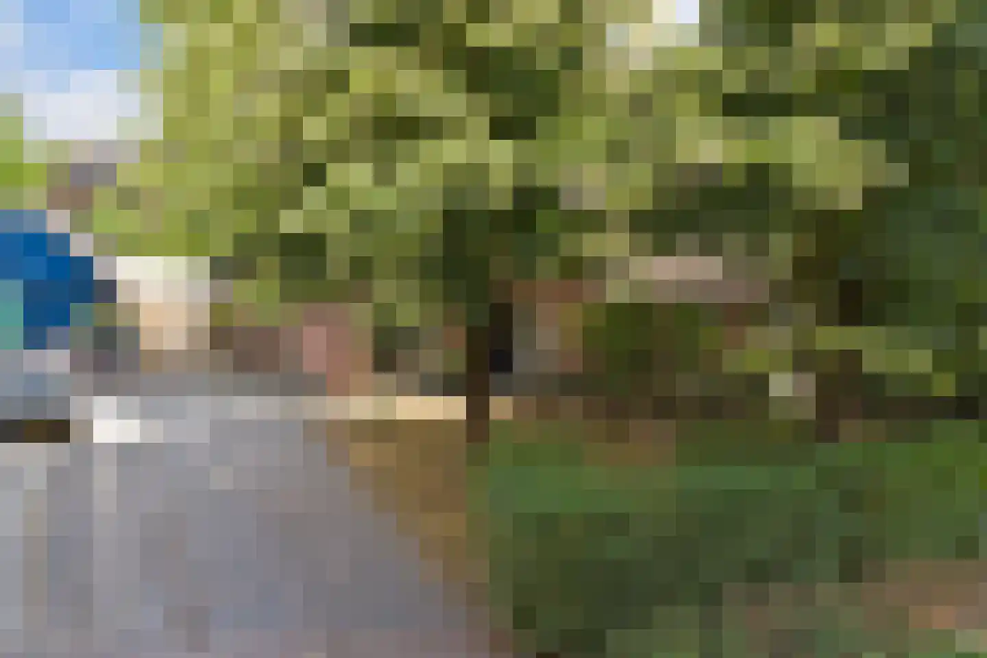 Dreef 48 Drempt thumbnail 56
