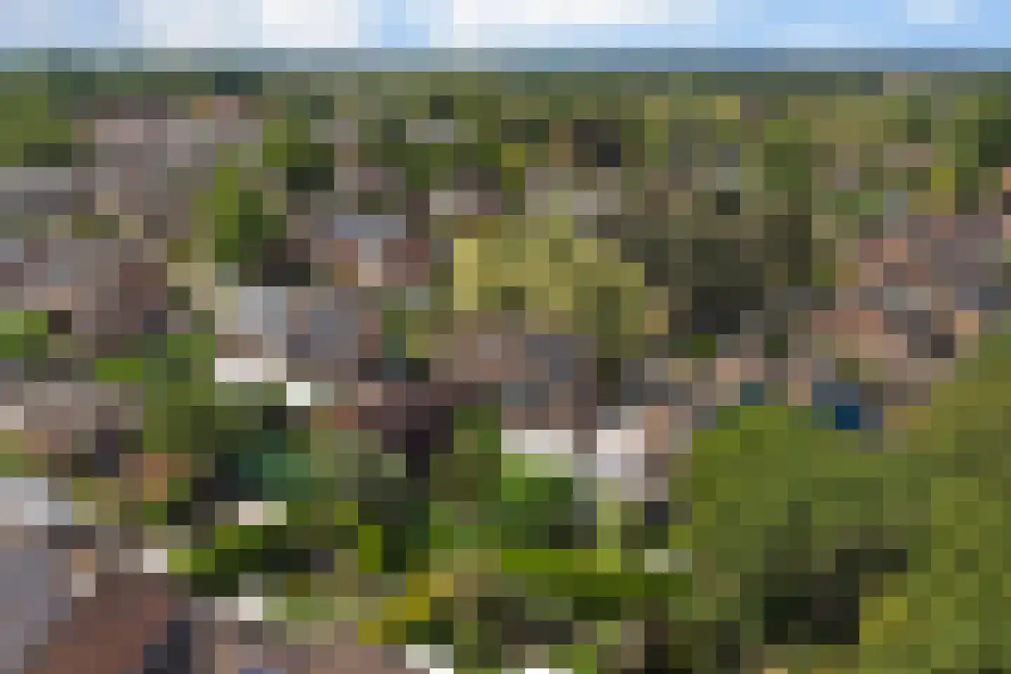 Dreef 48 Drempt thumbnail 59