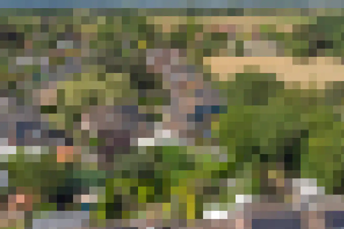 Dreef 48 Drempt thumbnail 60